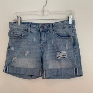 - Susina jeans distressed shorts